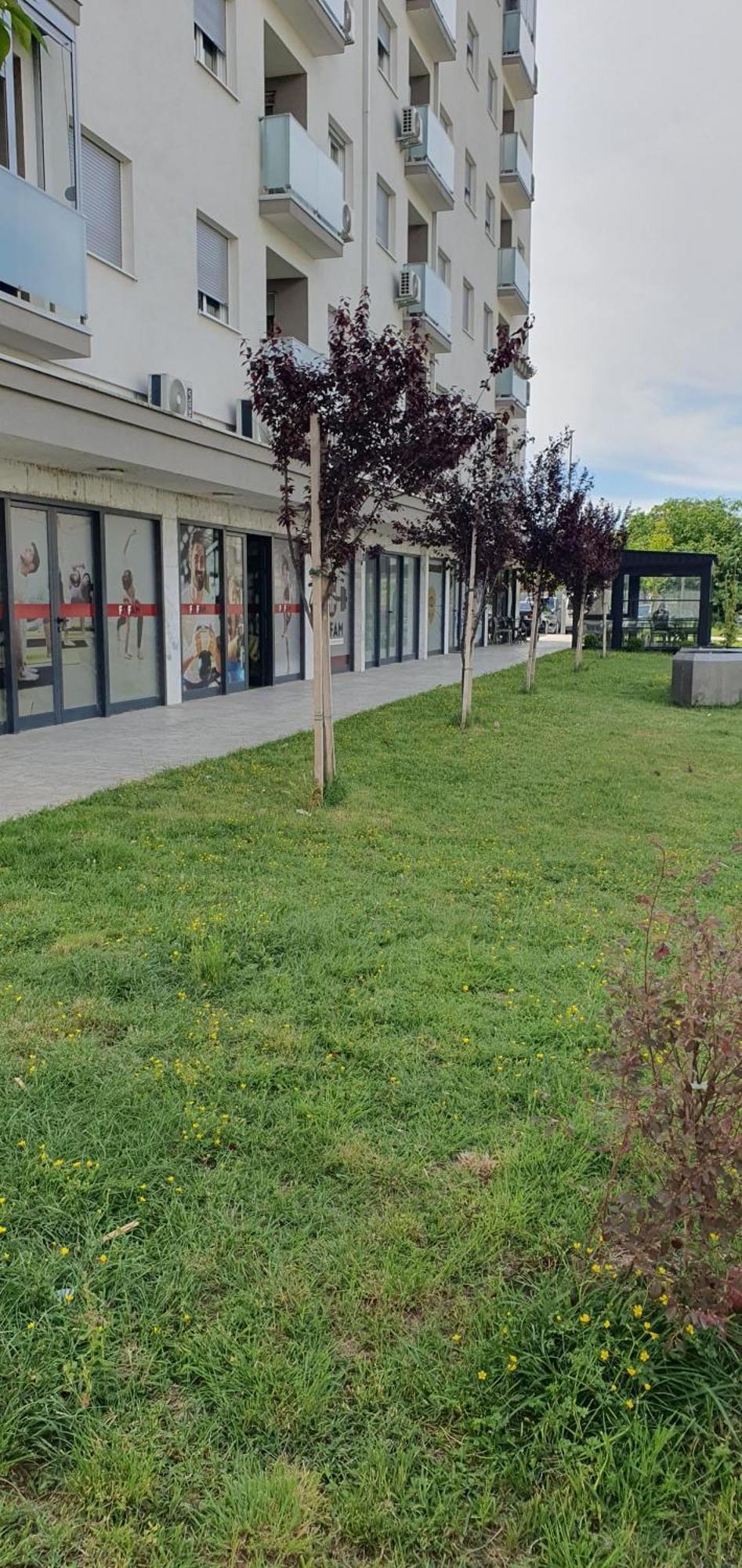 Апартаменти Odmor U Podgorici. Подгориця Екстер'єр фото